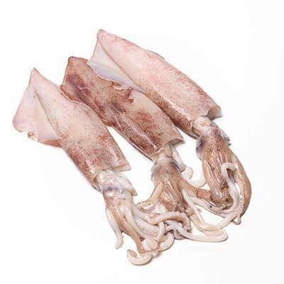 Морепродукты, замороженный кальмар Illex, замороженный кальмар, замороженный кальмар, оптовая продажа