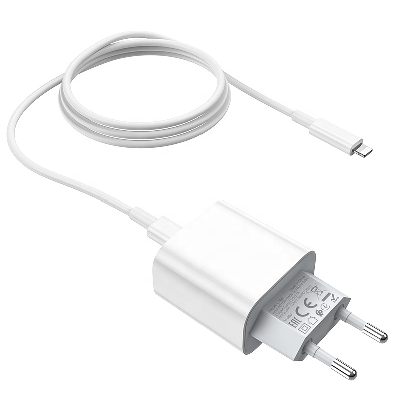 C76A PD20W QC3.0 зарядное устройство с европейской вилкой 12 Pro Max Mini с кабелем Тип C к Ltning быстрое настенное зарядное устройство