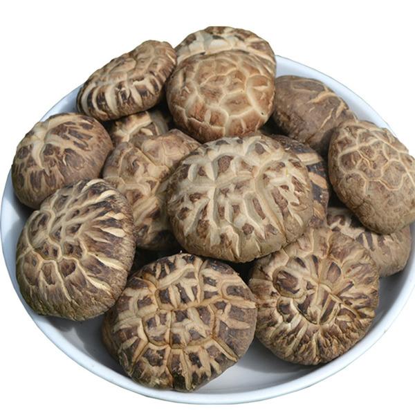 Bulk AD Vegetable Champignon Dehydrated Shitake Mushroom For Cooking
