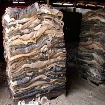 Kenya First leather Wet / Dry salted hides, cow and donkey skin