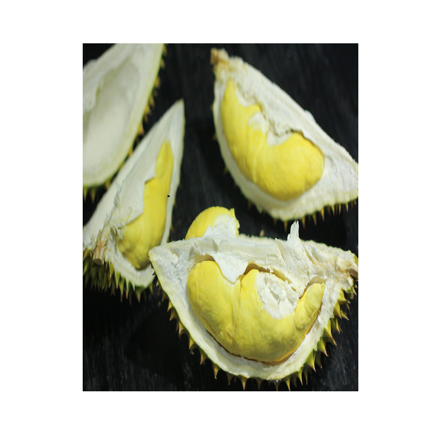 Wholesales Frozen Preservation Process Box Packing Common Cultivation Type Fresh Ri 6 Durian Export From Vietnam
