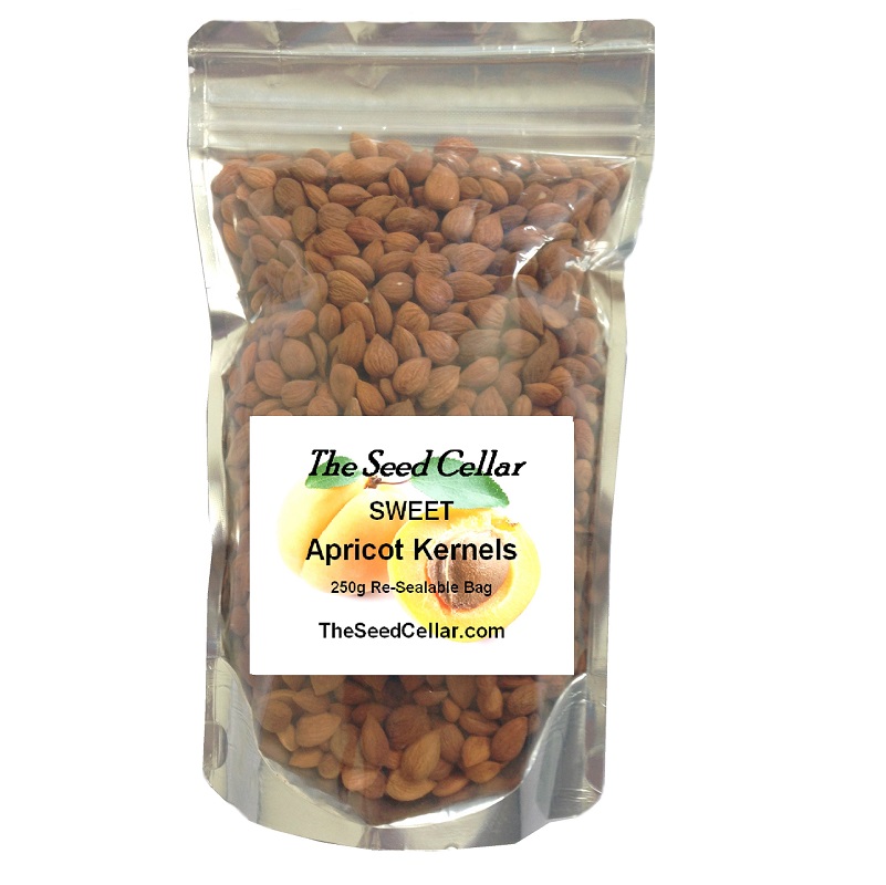 The seed collar Apricot kernel seeds