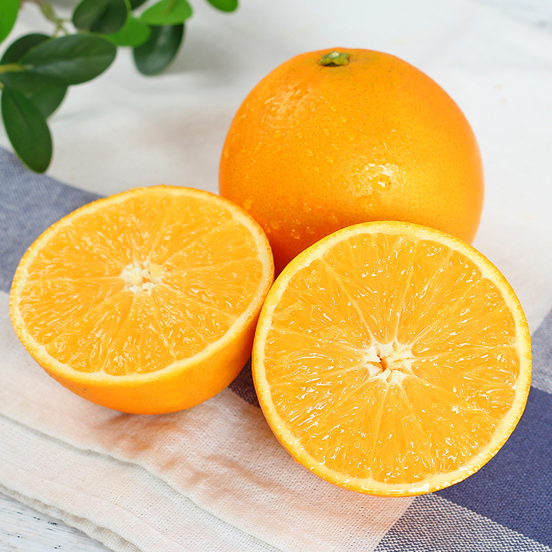 Factory outlet sweet orange and honey juice fresh orange seasonal fruits
