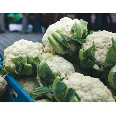 Самая низкая цена, свежие овощи, Капучинатор, доступно здесь для продажи оптом