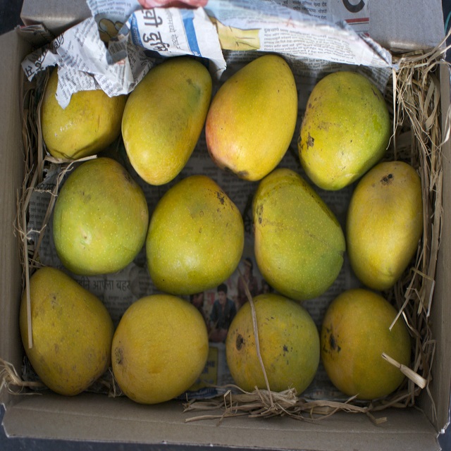 Alphonso свежие манго