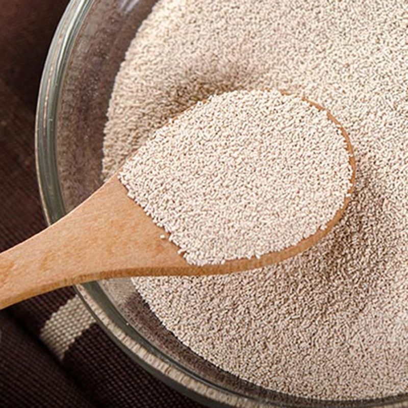 high quality dry yeast available