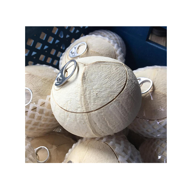 The Best Selling Fresh Young Coconuts 100% natural Organic High Quality Grade From Thailand