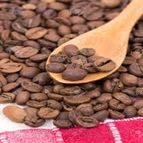 Качественные эфиопские кофейные зерна Арабика Yirgacheffe OEM в наличии