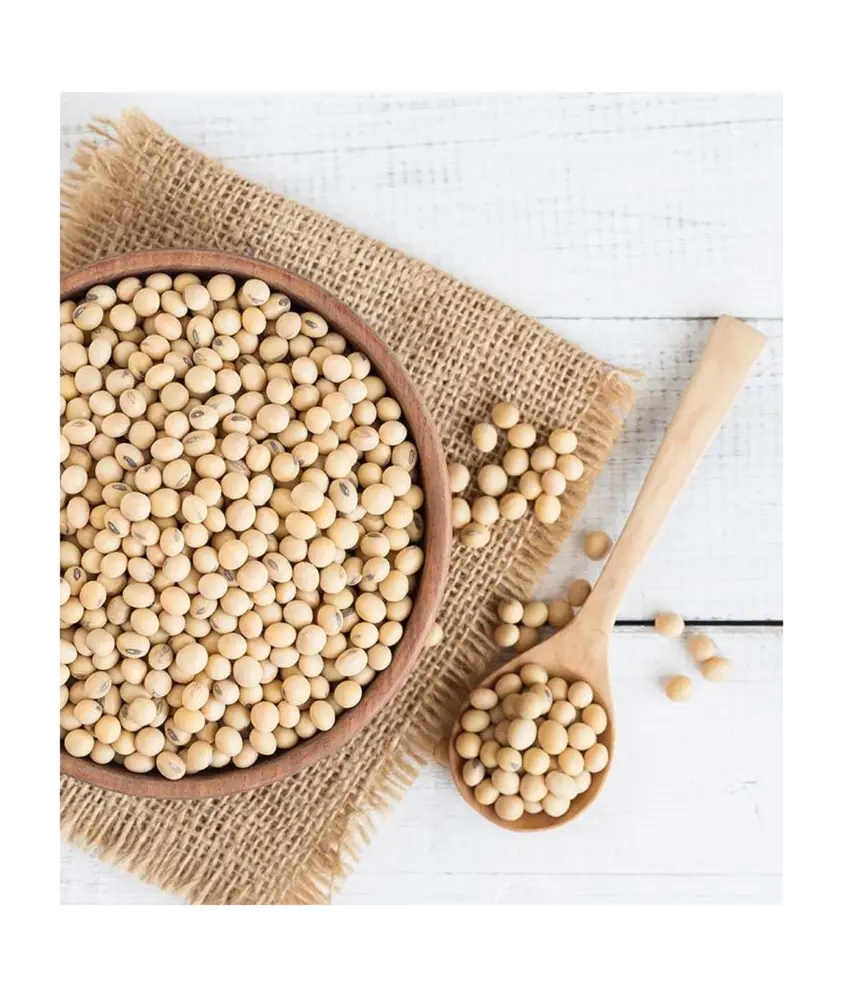 Manufacturer and Exporter High Quality NON GMO Dried Soybean Prices Bulk soya beans for sale at Best Price