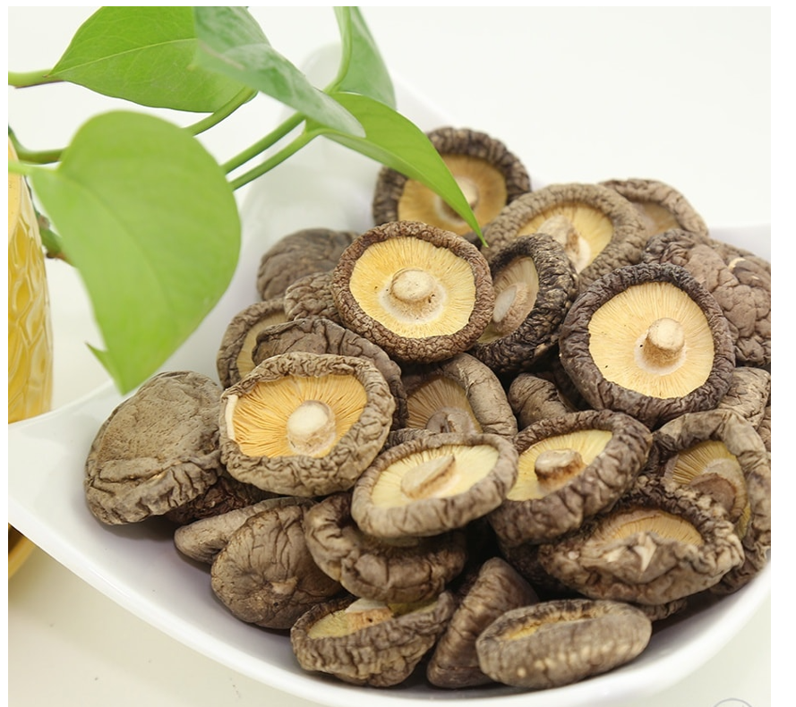 High Quality Viet Nam Manufacturer Phuc Nguyen Dried Shiitake Mushroom 100gr