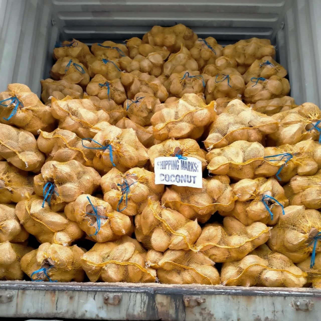 Большие поставки полу очищены кокосовое из Вьетнама, продукция от производителей по низким ценам