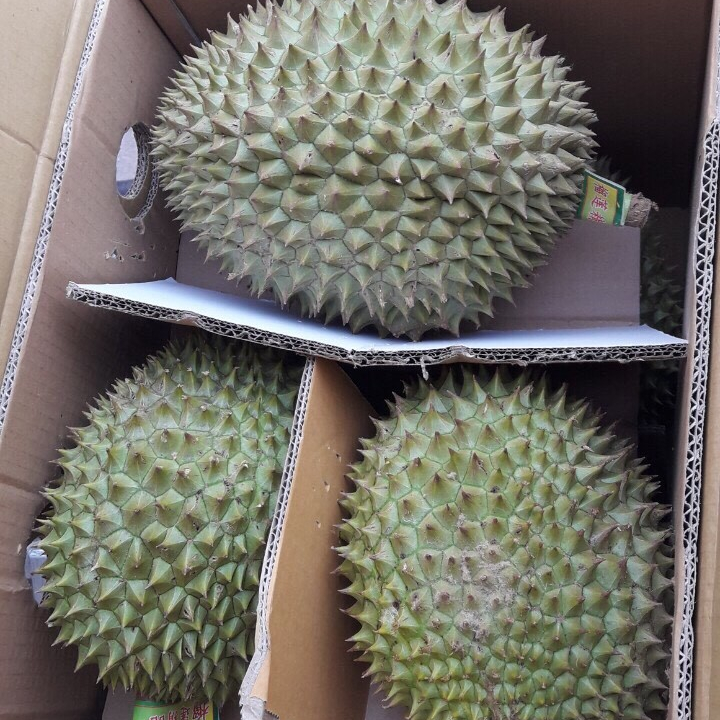 Durian from Vietnam