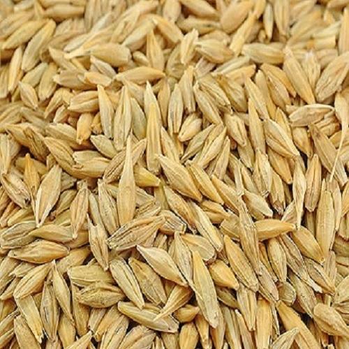 Best Animal Feed Barley Feed for Sale