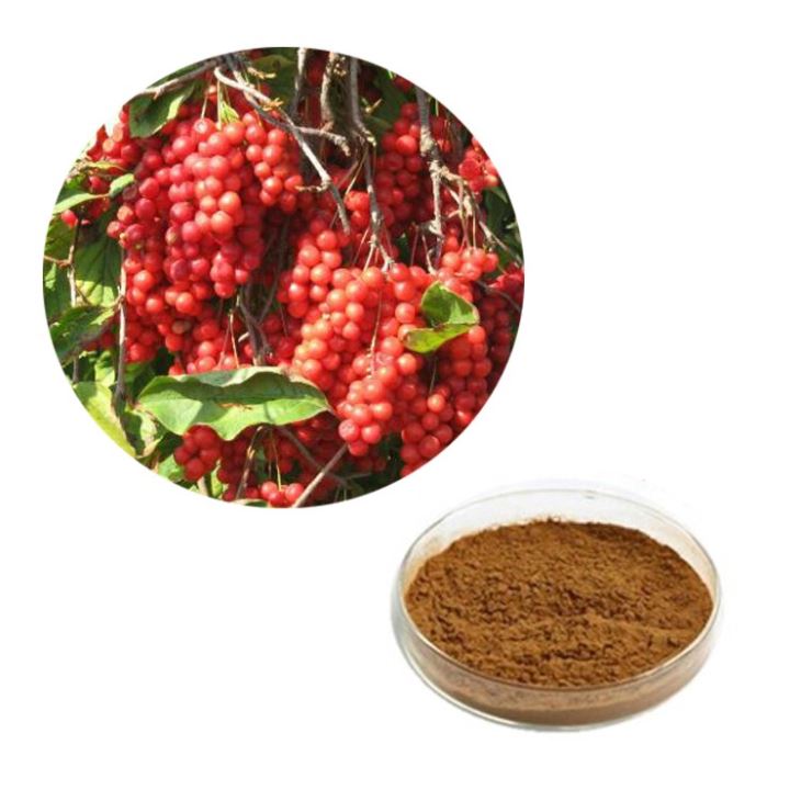 Plant Powder 100% natural Schisandra chinensis extracts