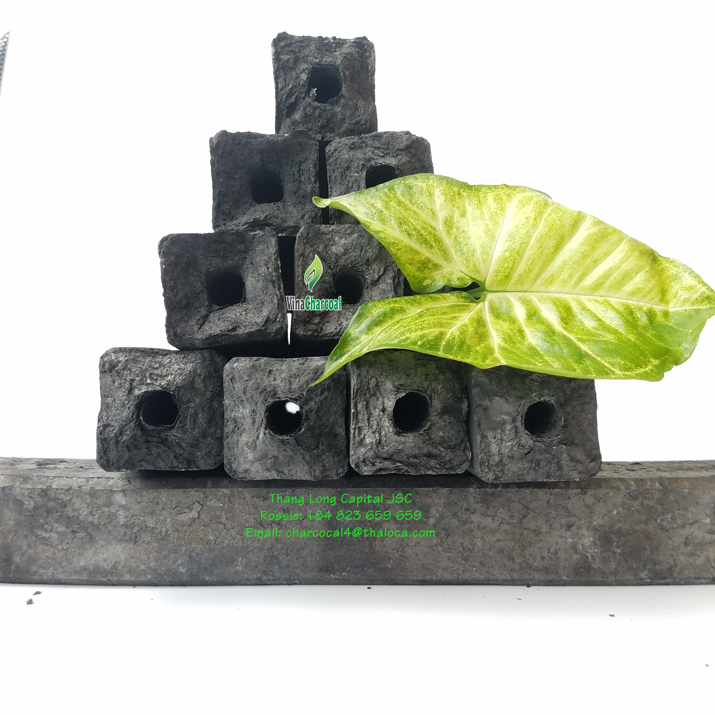 Big promotion for premium quality hardwood sawdust briquette charcoal in hexagon/square shape