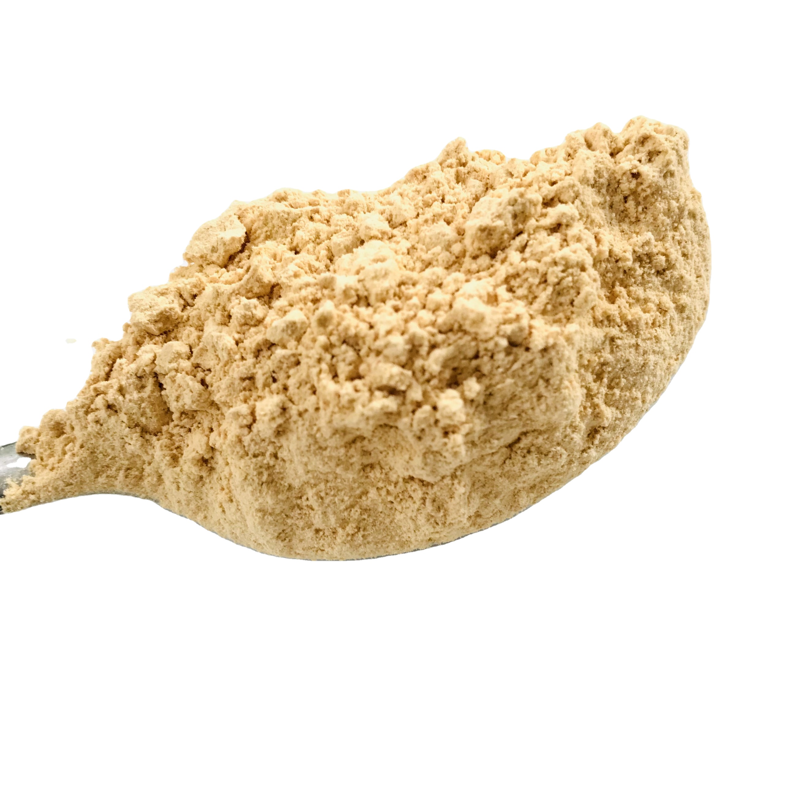 OEM Cordyceps Mushroom Powder Healthy Product 100% Natural Herbal High Quality Product Good For Health Providing Energy