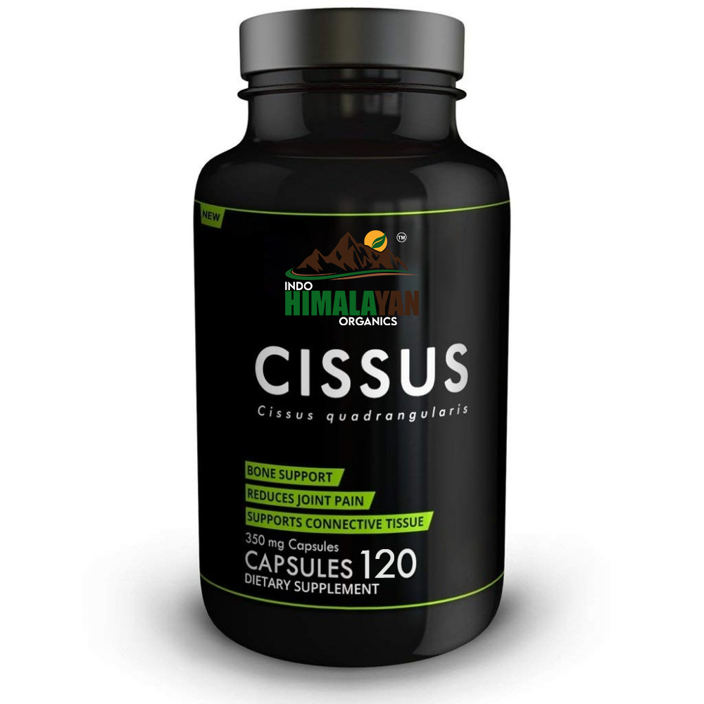 Cissus Quadrangularis Extract Ayurvedic Bone Pain Health Capsules
