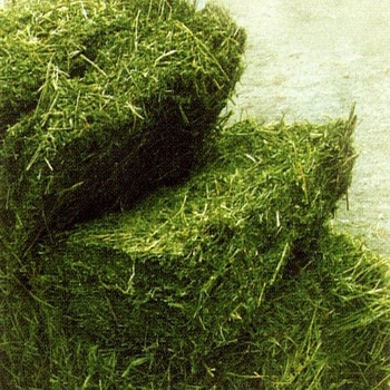 100% Pure Alfalfa Hay/Timothy Hay/Lucerne Hay For Animal Feed