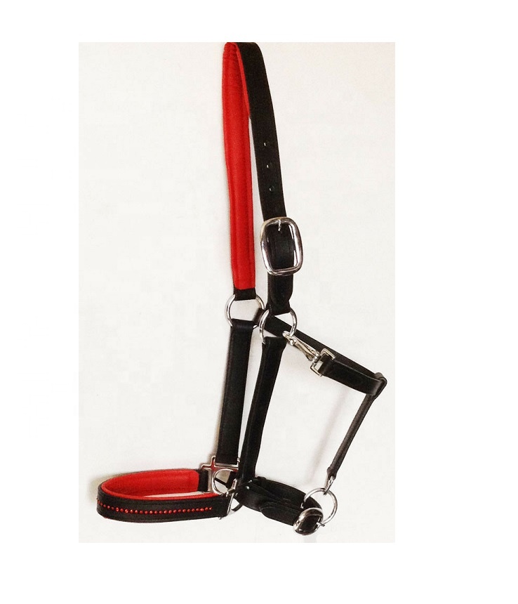 leather halter