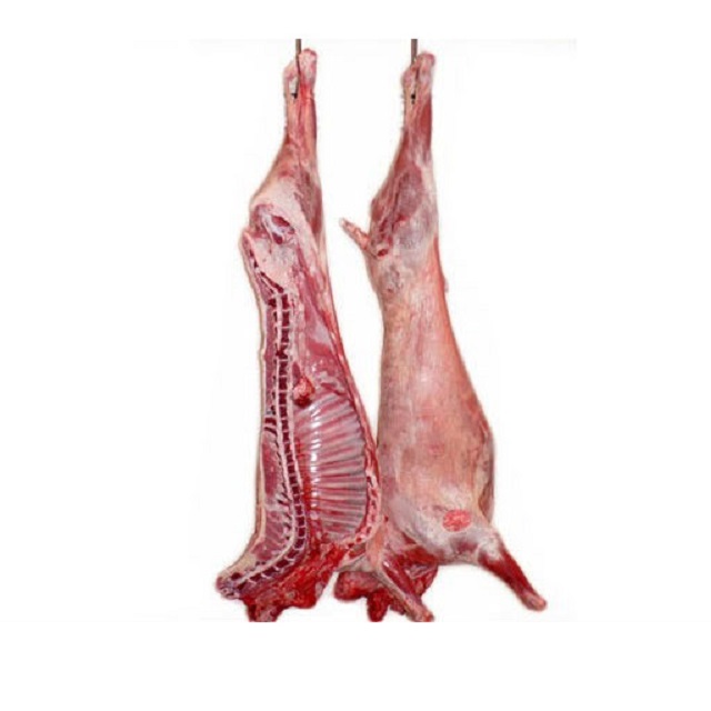WHOLE BODY HALAL FRESH / FROZEN GOAT / LAMB / SHEEP MEAT / FROM GERMANY