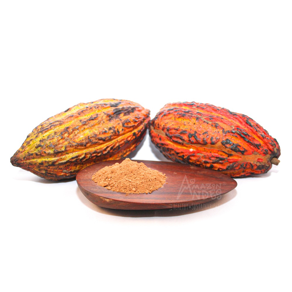 Peru Harvested Raw Cacao Powder at Sale