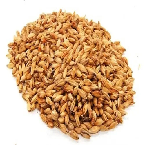 Animals Feed Barley with Cheap Price