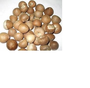 NEW HARVEST SPLIT BETEL NUT /SLICE BETEL NUT NEW CROP