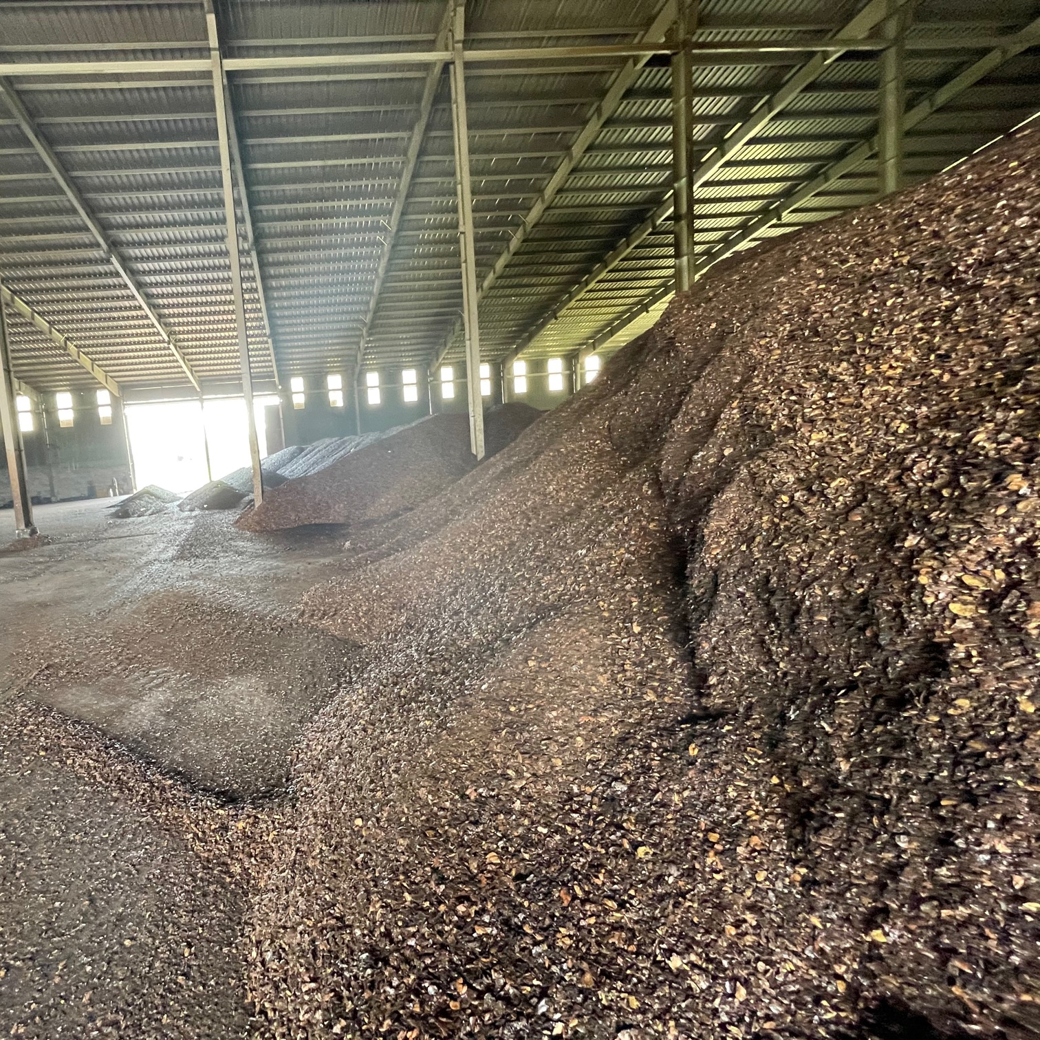 CASHEW NUT SHELL AFTER EXTRACTION / wholesale Cashew nut Shell liquid from Vietnam (Ho Chi Minh Port)