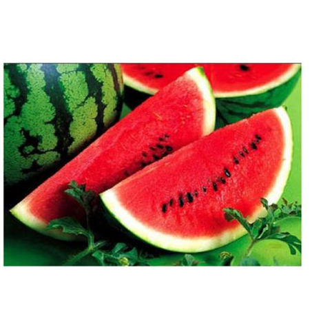 Прямая продажа, вкусный сочный летний арбуз, свежий здоровый круглый арбуз