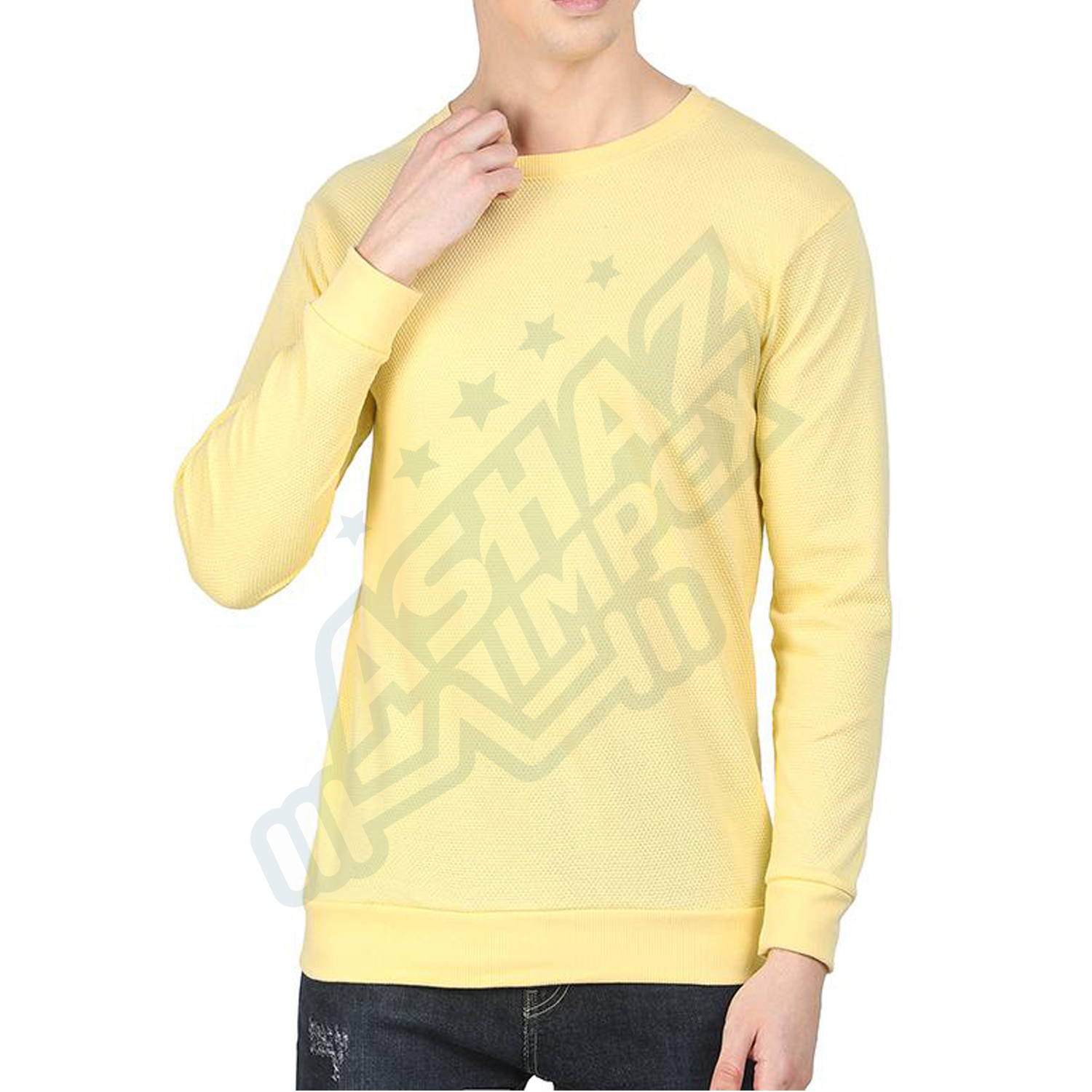 Crew neck 100% cotton men shirt