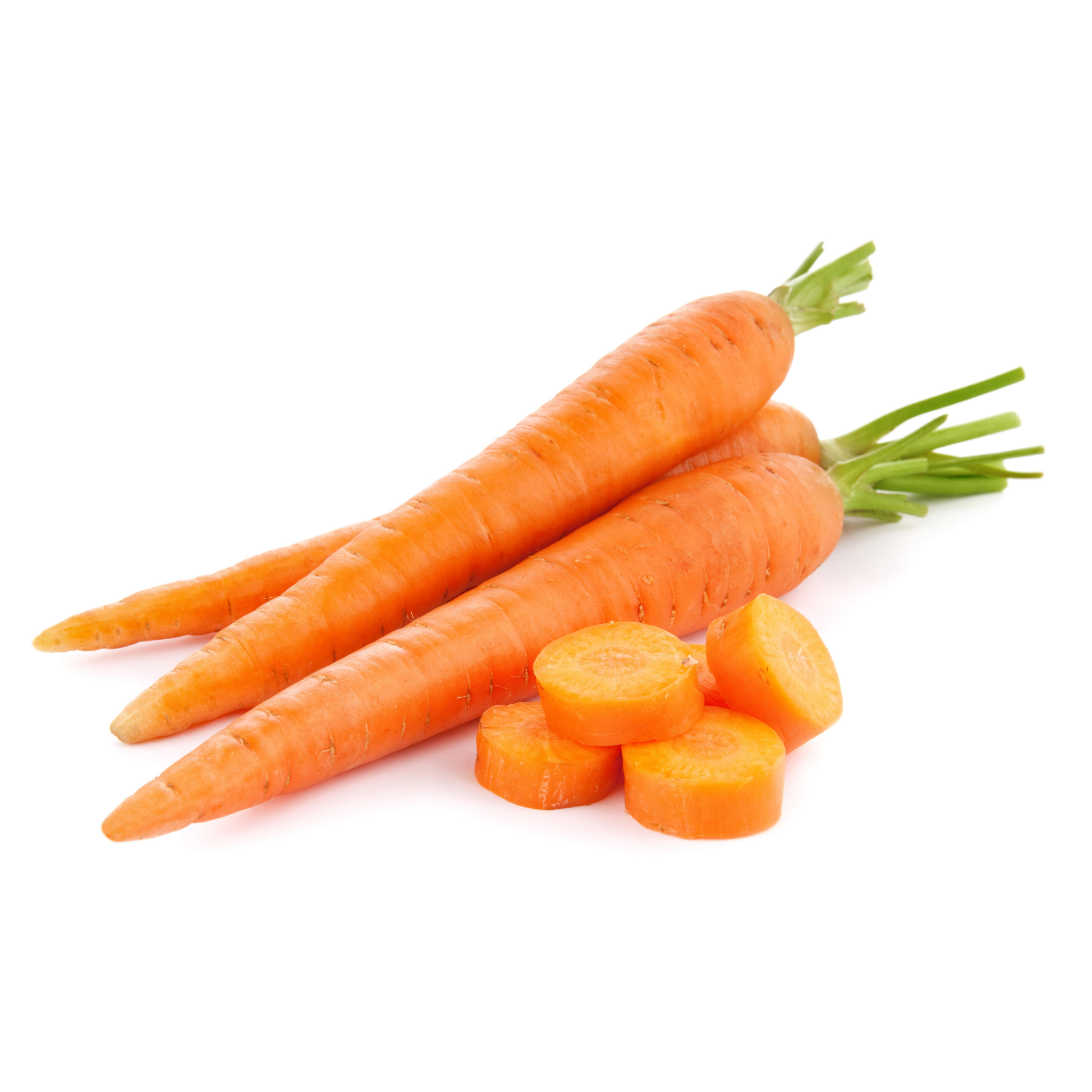 High Quality Fresh Carrot