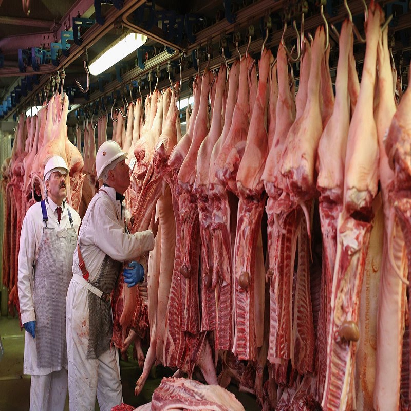Замороженное мясо кенгуру на продажу