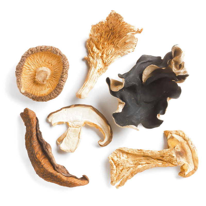 dried mushroom for sale