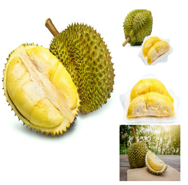Замороженные тайские фрукты Durian премиум класса Mornthong Durian (кусок)