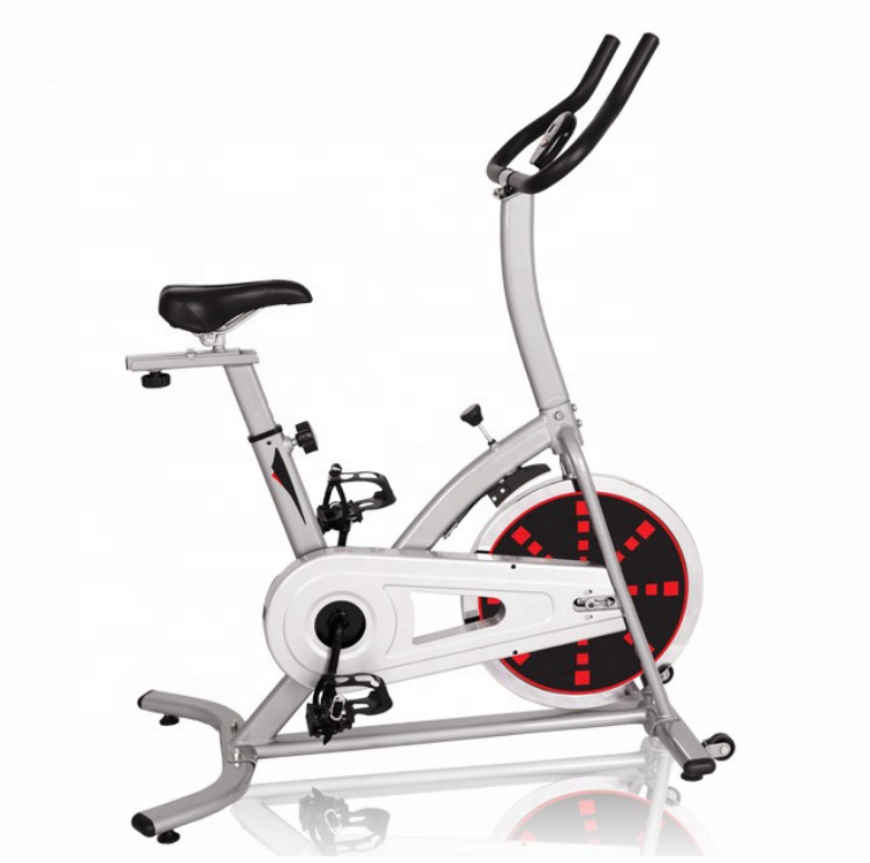 Home Use Professional Bike Monitor 13KG Flywheel Exercise Spinning Bike