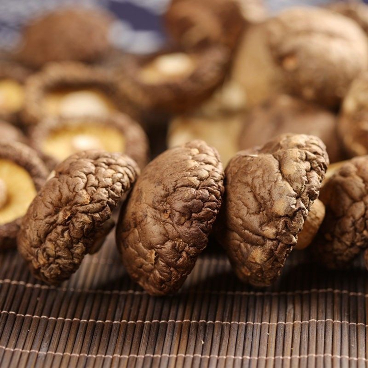 Matsutake mushroom price tricholoma matsutake fresh matsutake mushroom