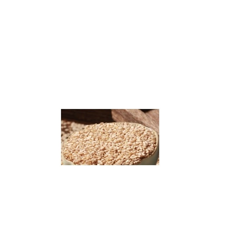 Fresh Sesame High Quality Ready to Ship