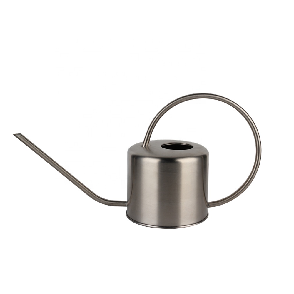 Watering Can for Indoor Plants,Long Spout with Detachable Spray Head Small Water Can for House