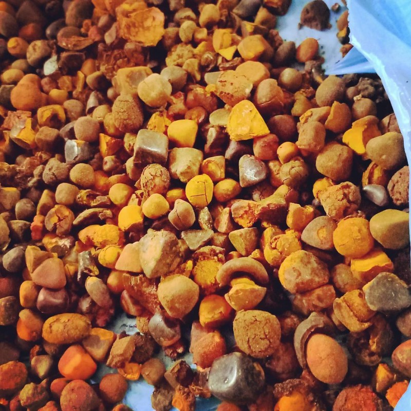 buy Cow Gall Stones / Ox Gallstones for Sale