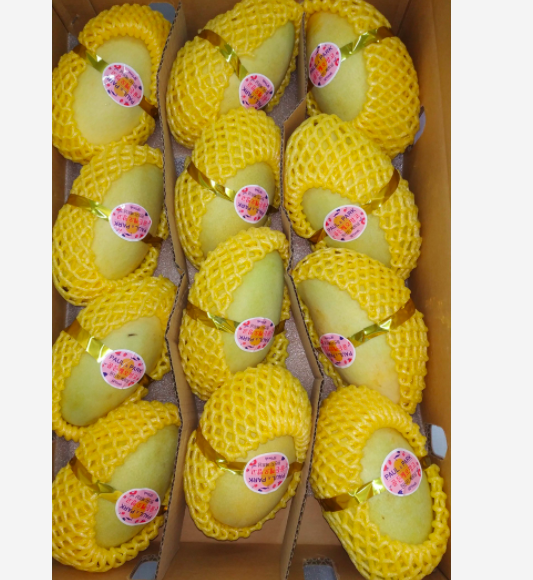 KEO fresh mango origin in Vietnam provide vitamin harvest in Vietnam 2021