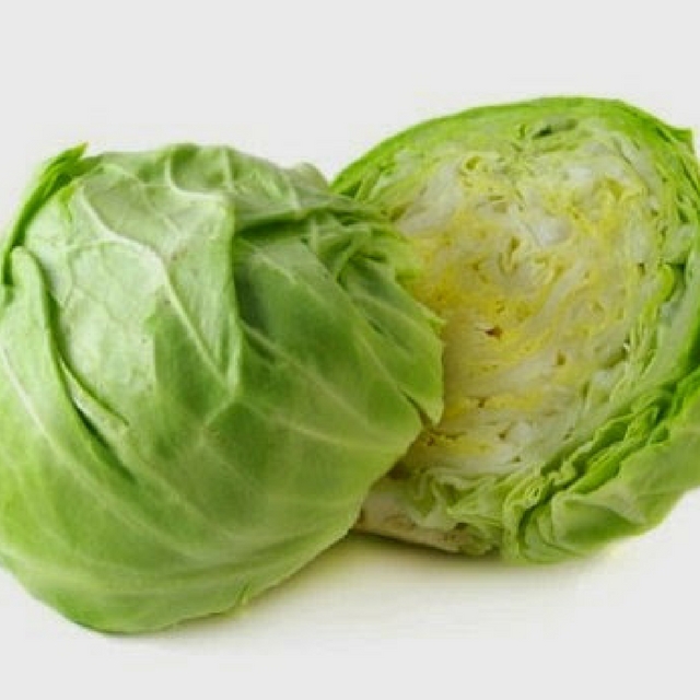 Fresh green cabbage from new crop of 2021 export standard Denmark