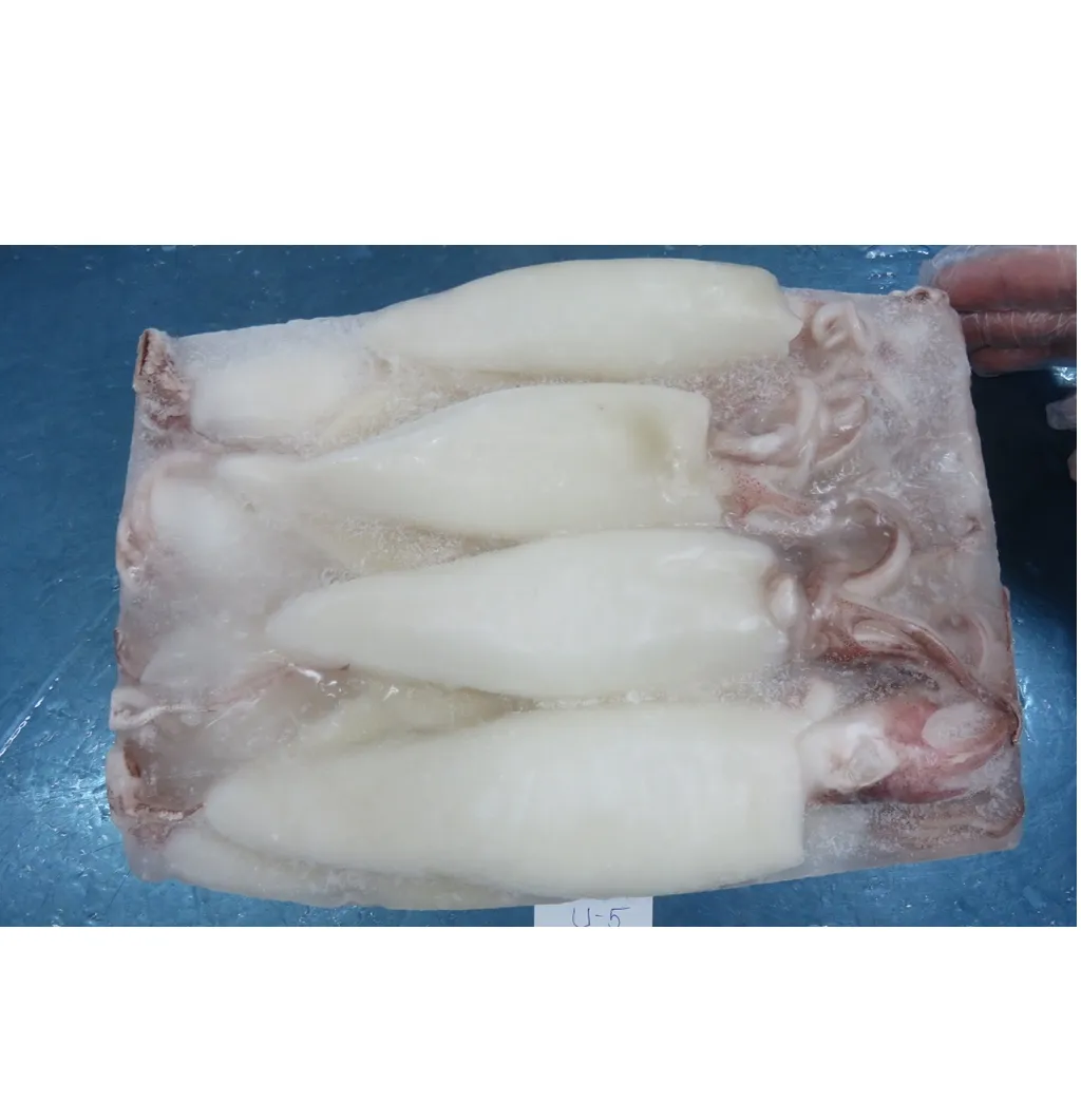 Guaranteed quality proper price Vietnam factory frozen giant squid wings