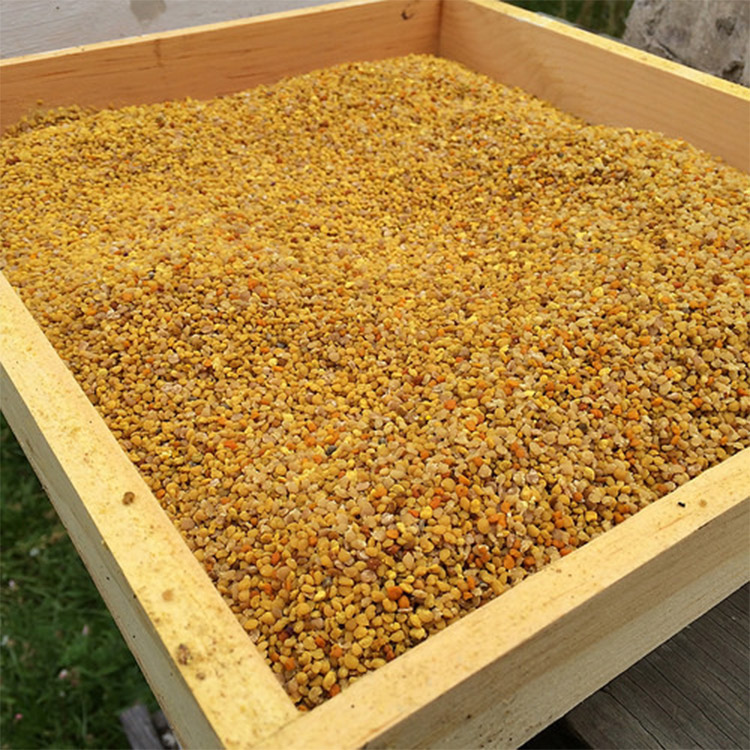 Available Natural Bee Pollen organic Food Grade Bee Pollen
