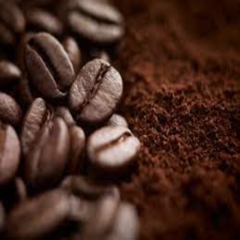 Premium Quality Reasonable Coffee seeds