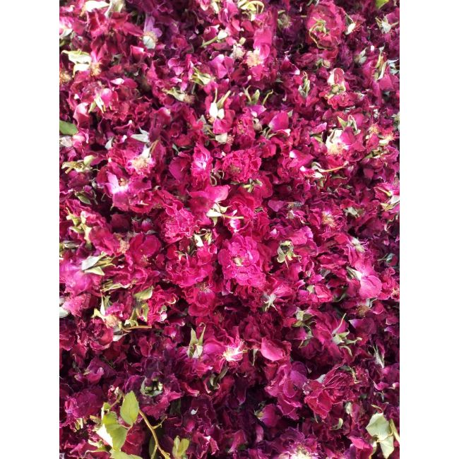 Dry Rose