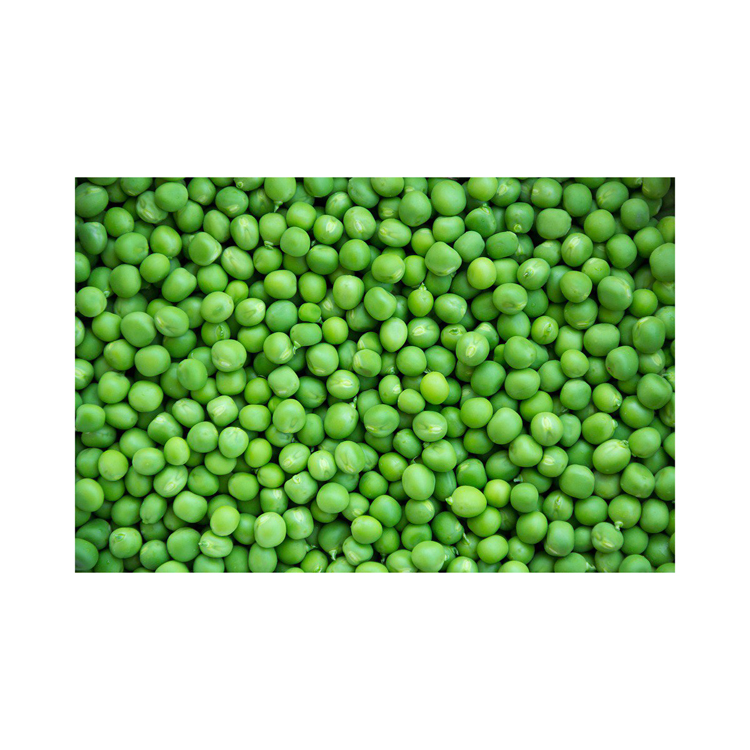 High quality dried peas in bulk, food & beverage