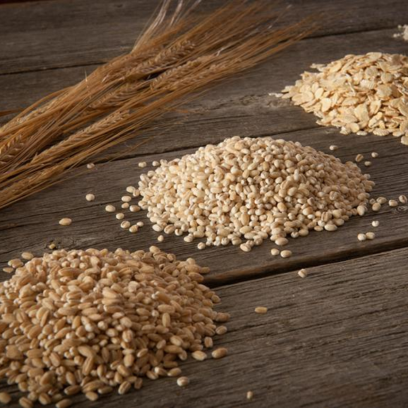Premium Barley Seeds/Animal feed barley/bulk barley grains for sale(cheap prices)!!