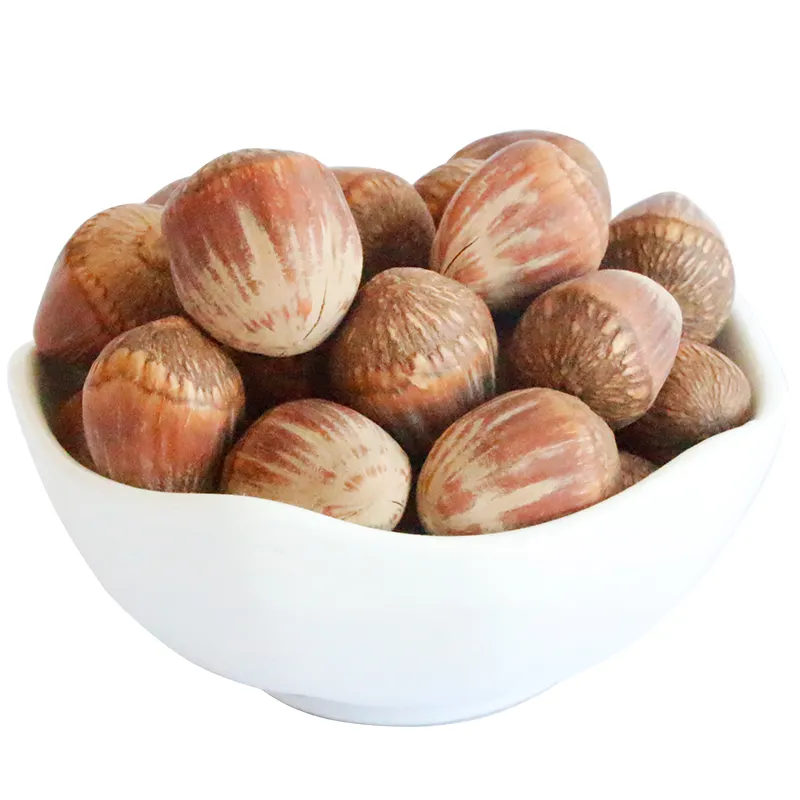 Blanched / Roasted Hazelnuts / Toasted / Hazelnut kernels Inshell / Organic Hazel Nuts