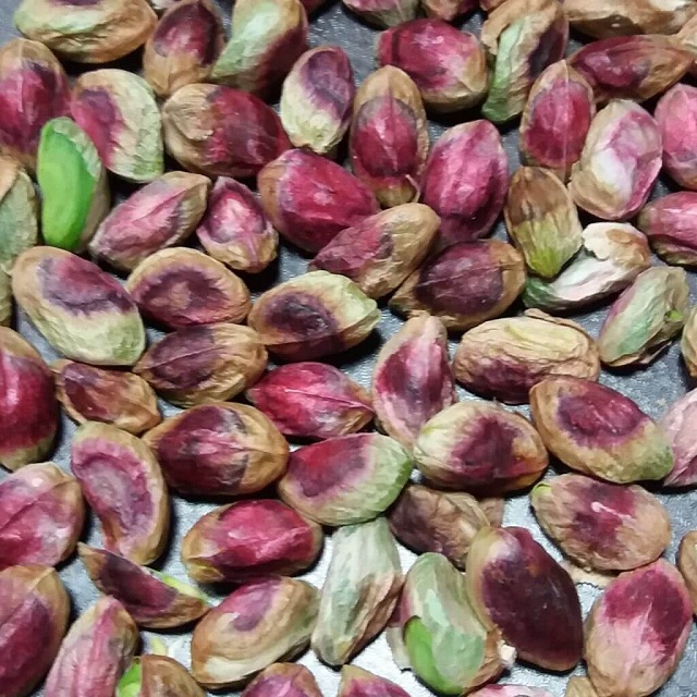 Pistachio Ahmad Aghaei kernell/conventional peeled pistachio