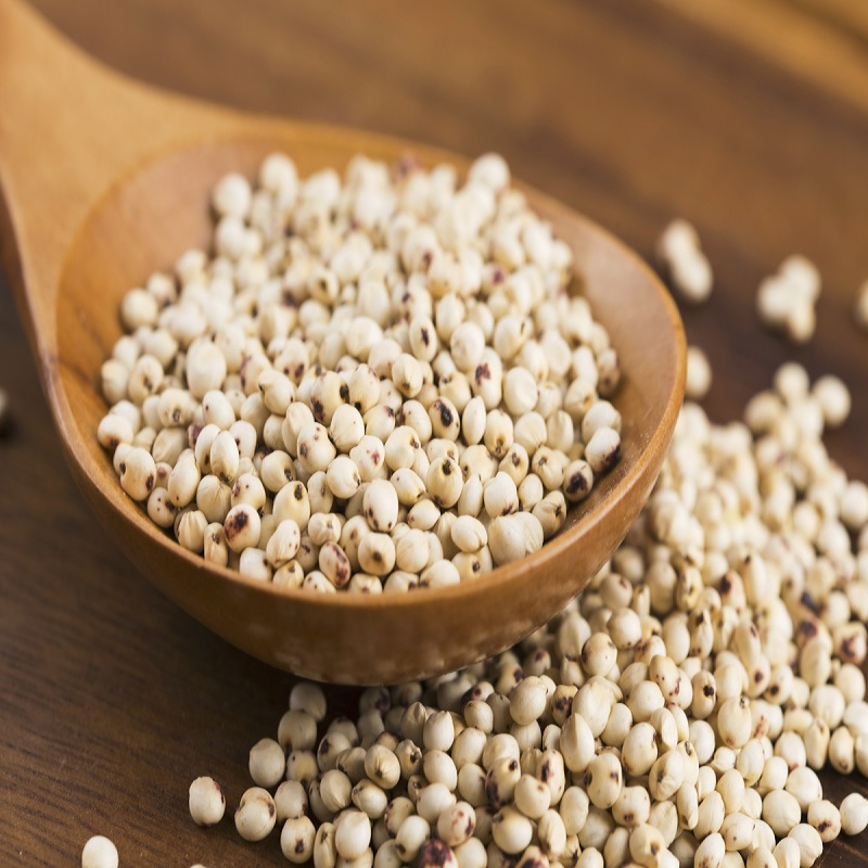 White Sorghum For Sale